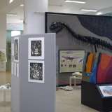 Museo di scienze della Terra, settore geopaleontologico: ricostruzione dello scheletro di Ceratosaurus